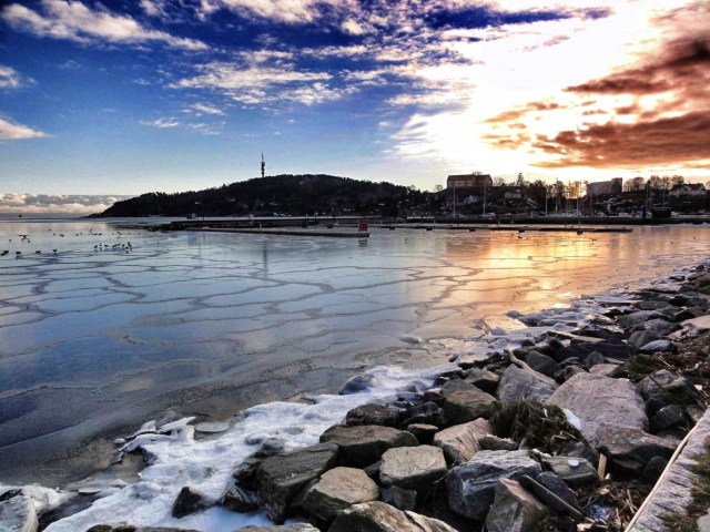 Odderøya i vinterlys. 