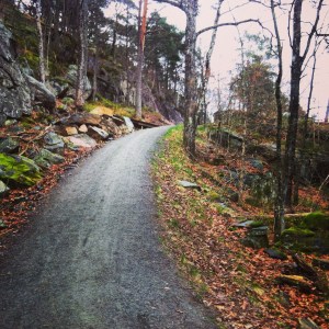 Trollskogen, Justneshalvøya. 