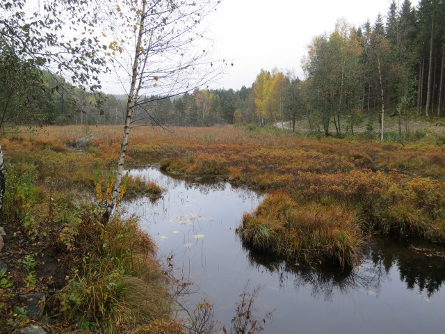 Mellom Jegersberg og Kvarstein. 