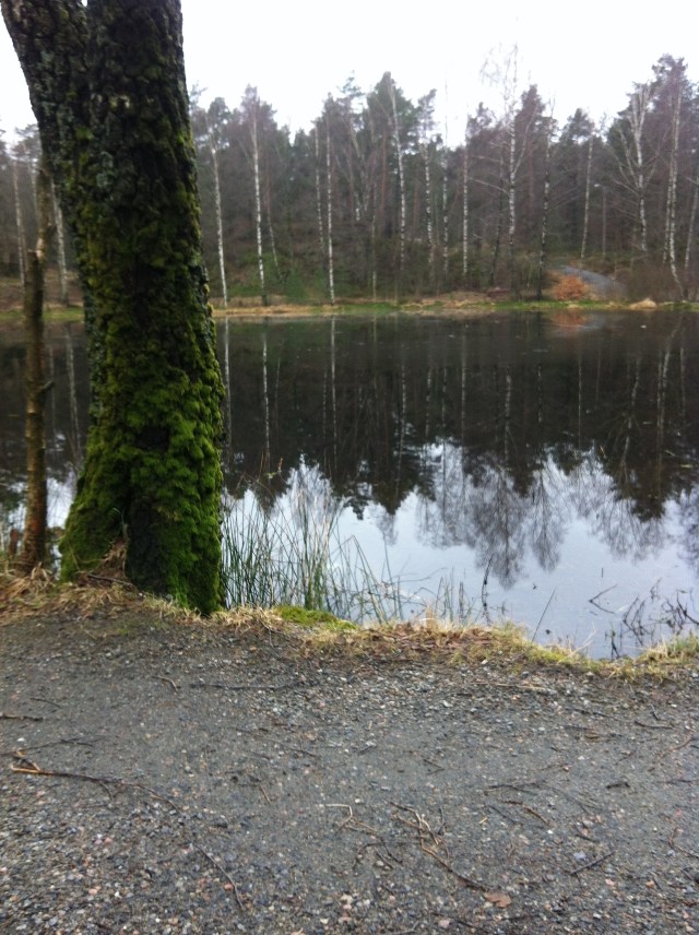 Fra Svarttjønn i Baneheia.