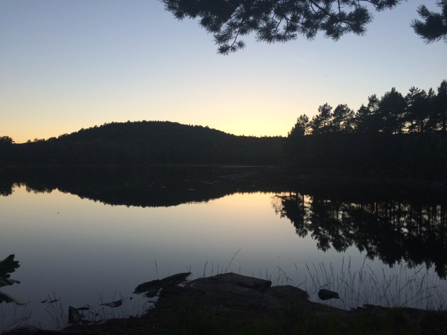 Fra kveldstur i Jegersberg.